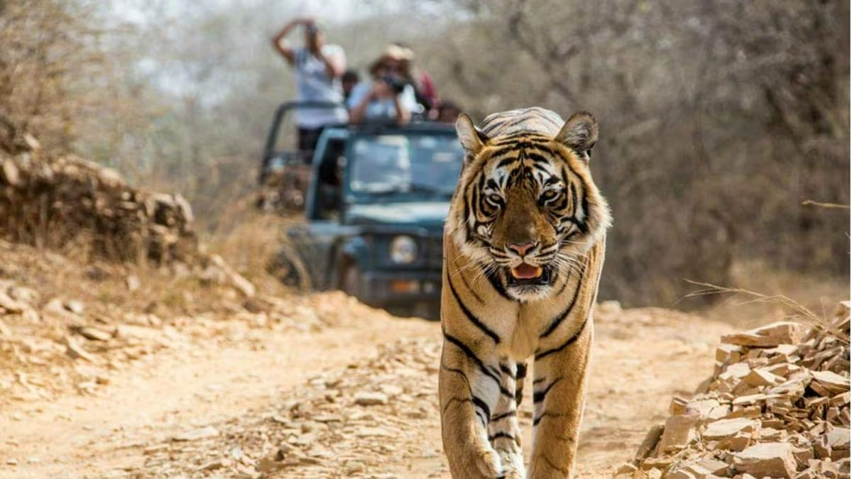 Jim Corbett Tour